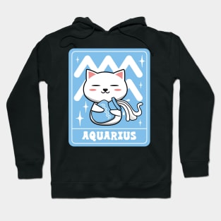 Cute Aquarius Cat Hoodie